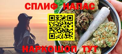 молекула духа Пугачёв