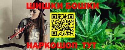 молекула духа Пугачёв
