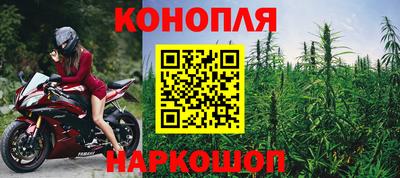молекула духа Пугачёв