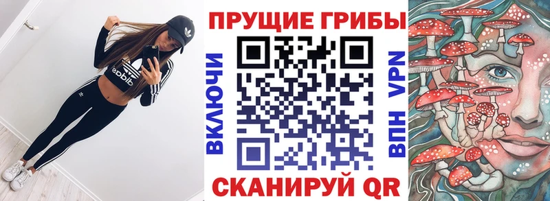 Купить  Рубцовск  Галлюциногенные грибы GOLDEN TEACHER 
