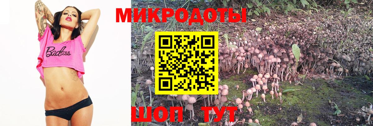 купить закладку  Рубцовск  Псилоцибиновые грибы ЛСД 